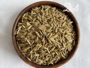 avizos 1
