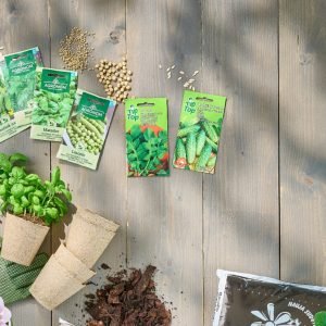 Prasidėjo pavasarinis sėklų pirkimas: pagrindinės sodinimo klaidos, kurias svarbu prisiminti