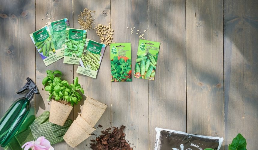 Prasidėjo pavasarinis sėklų pirkimas: pagrindinės sodinimo klaidos, kurias svarbu prisiminti