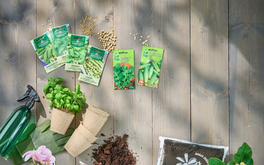 1 Prasidėjo pavasarinis sėklų pirkimas: pagrindinės sodinimo klaidos, kurias svarbu prisiminti