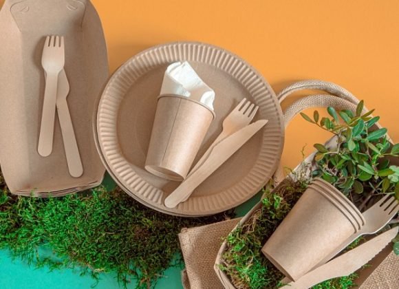Vienkartiniai indai be plastiko – alternatyvos, kurios keičia rinką