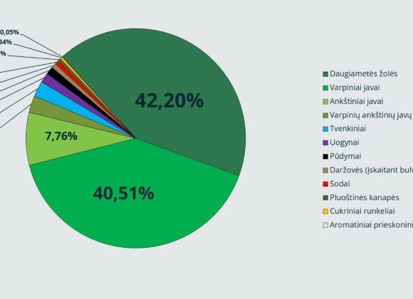 Ekologiškų produktų sertifikavimo įstaigos „Ekoagros“ vadovė: vietinei rinkai reikia daugiau ekologiškų daržovių