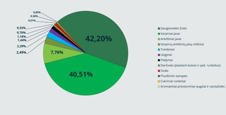 Ekologiškų produktų sertifikavimo įstaigos „Ekoagros“ vadovė: vietinei rinkai reikia daugiau ekologiškų daržovių