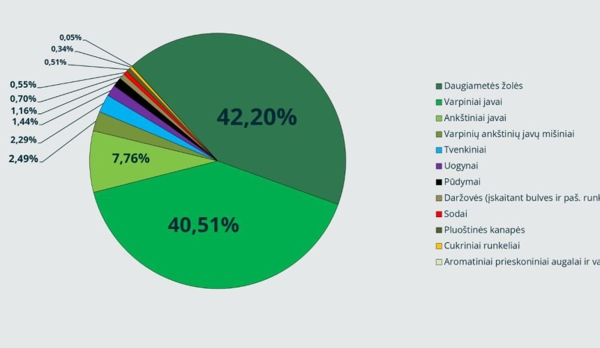 Ekologiškų produktų sertifikavimo įstaigos „Ekoagros“ vadovė: vietinei rinkai reikia daugiau ekologiškų daržovių