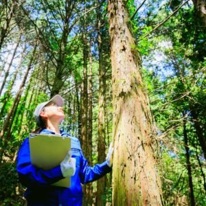 Gamta traukia kaip magnetas: Margarita miesto grindinį iškeitė į žaliuojančius miškus