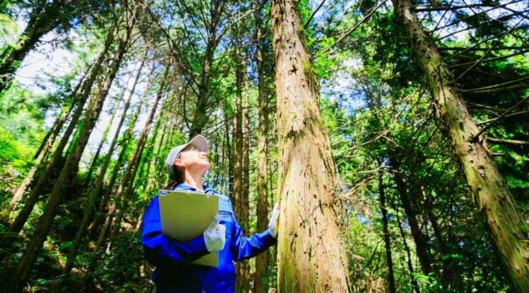 Gamta traukia kaip magnetas: Margarita miesto grindinį iškeitė į žaliuojančius miškus