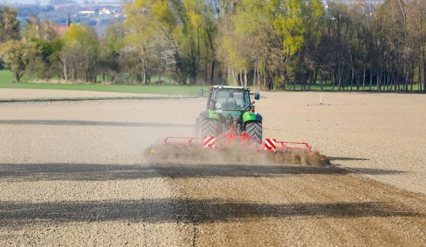 Gamtos iššūkis ūkininkams: kaip šilta žiema paveikė ekologinius ūkius?