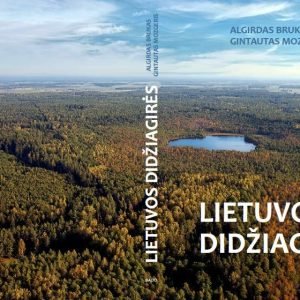 „Lietuvos didžiagirės“ – žmogaus ir miško bendrystės istorijos studija