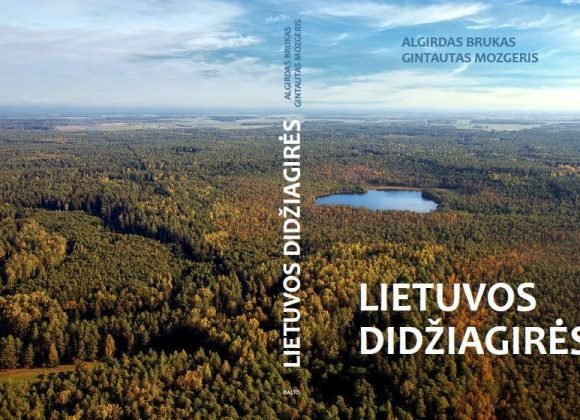 „Lietuvos didžiagirės“ – žmogaus ir miško bendrystės istorijos studija