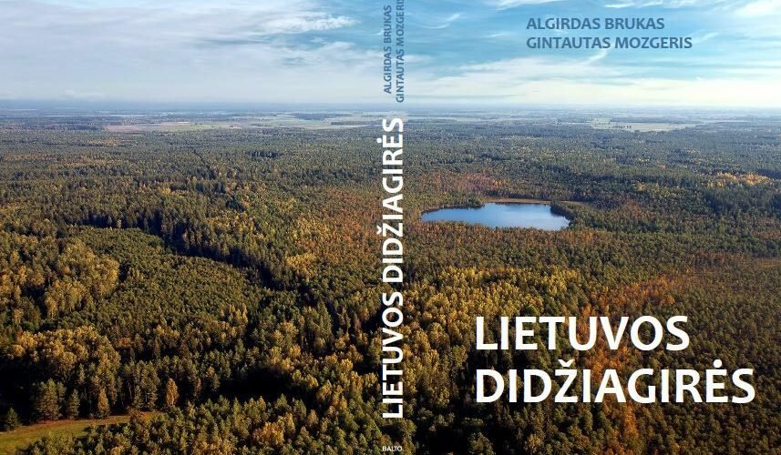 „Lietuvos didžiagirės“ – žmogaus ir miško bendrystės istorijos studija