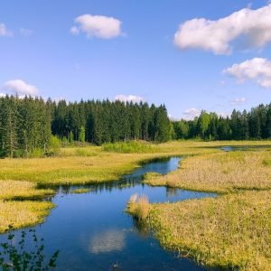 Nelaimė šlapynėje prakalbino ūkininkus: nuo rizikų valdymo iki žemės įsigijimo sunkumų