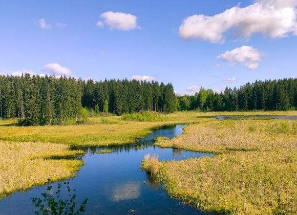 Nelaimė šlapynėje prakalbino ūkininkus: nuo rizikų valdymo iki žemės įsigijimo sunkumų