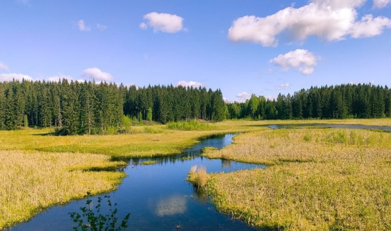 Nelaimė šlapynėje prakalbino ūkininkus: nuo rizikų valdymo iki žemės įsigijimo sunkumų
