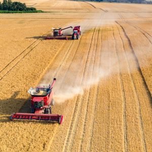 Naujoji ES vizija iki 2040-ųjų žemės ūkiui žada daugiau galimybių