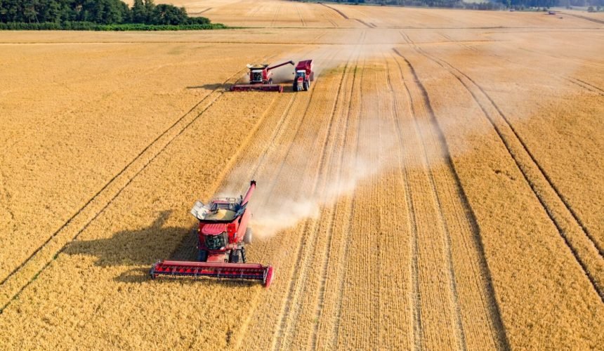 Naujoji ES vizija iki 2040-ųjų žemės ūkiui žada daugiau galimybių