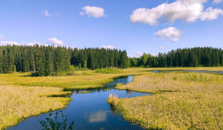 Nelaimė šlapynėje prakalbino ūkininkus: nuo rizikų valdymo iki žemės įsigijimo sunkumų
