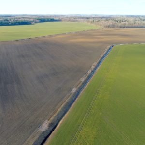 Kokią naudą atnešą anglies ūkininkavimas?