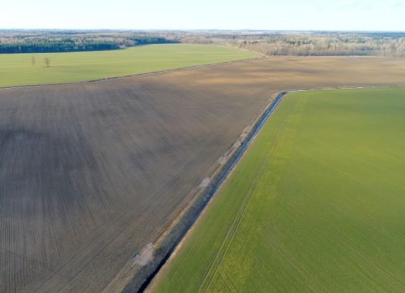 Kokią naudą atnešą anglies ūkininkavimas?