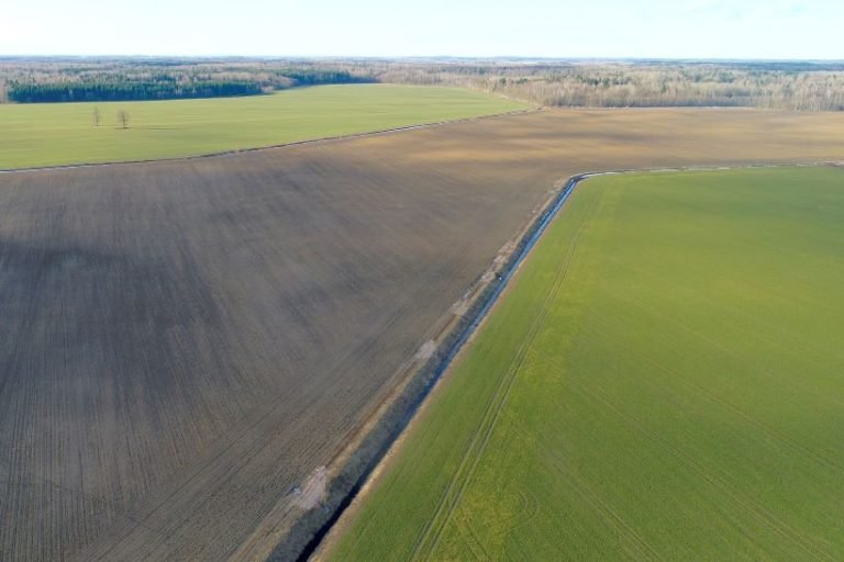 Kokią naudą atnešą anglies ūkininkavimas?