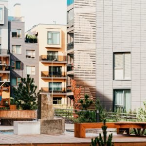 Ekspertė apie augalus daugiabučiuose: svarbu ne tik grožis, bet ir saugumas