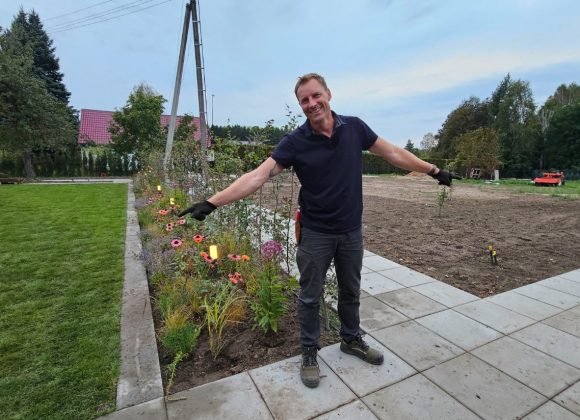 Trumpai ir aiškiai: ekspertai pataria, ko reikia norint užauginti gražią veją