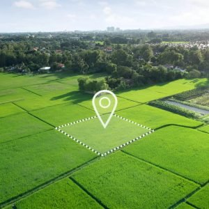 Seimas nusprendė: valstybinė žemė bus naudojama efektyviau