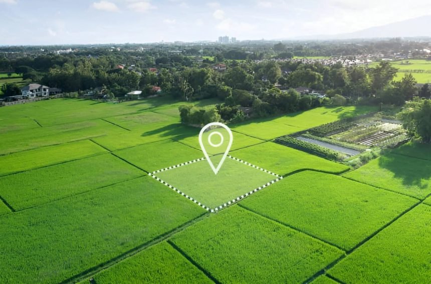 Seimas nusprendė: valstybinė žemė bus naudojama efektyviau