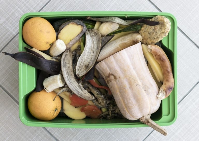 Į šiukšliadėžę ar ant stalo? Išmaniosios virtuvės technologijos padeda pasirinkti teisingai