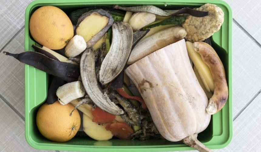 Į šiukšliadėžę ar ant stalo? Išmaniosios virtuvės technologijos padeda pasirinkti teisingai