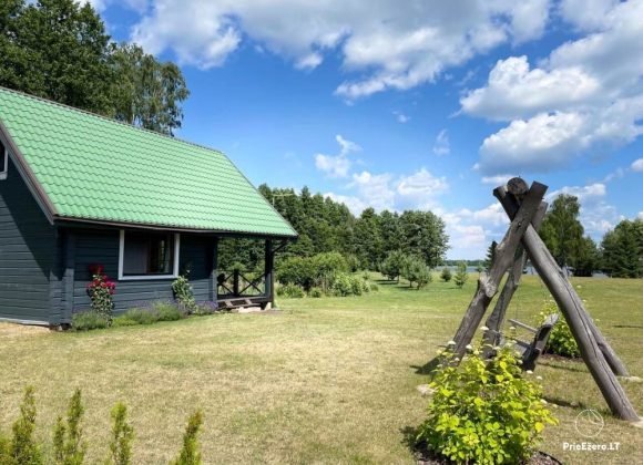 Veja, kaimiška pievelė ar žydinti pieva: ką pasirinkti savo sodybai?