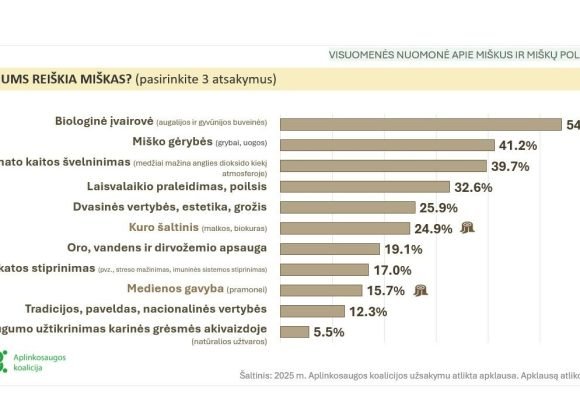Apklausa atskleidė, kad gyventojai nežino tikrųjų miškų kirtimų mastų, bet yra už miškų apsaugą