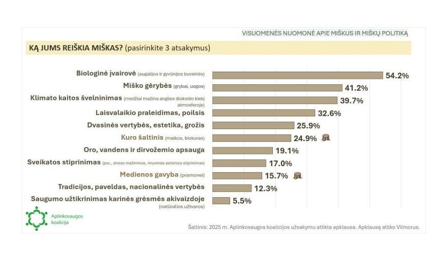 Apklausa atskleidė, kad gyventojai nežino tikrųjų miškų kirtimų mastų, bet yra už miškų apsaugą