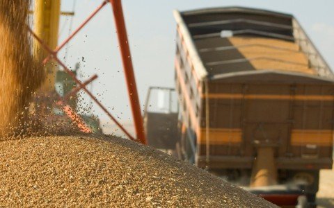 Grūdų rinkos reaguoja į JAV ir Prancūzijos derliaus prognozes bei atidžiai stebi politinius įvykius
