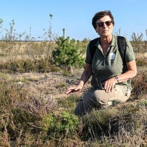 5 mitai apie poligonus: ką sako gamtos mokslas