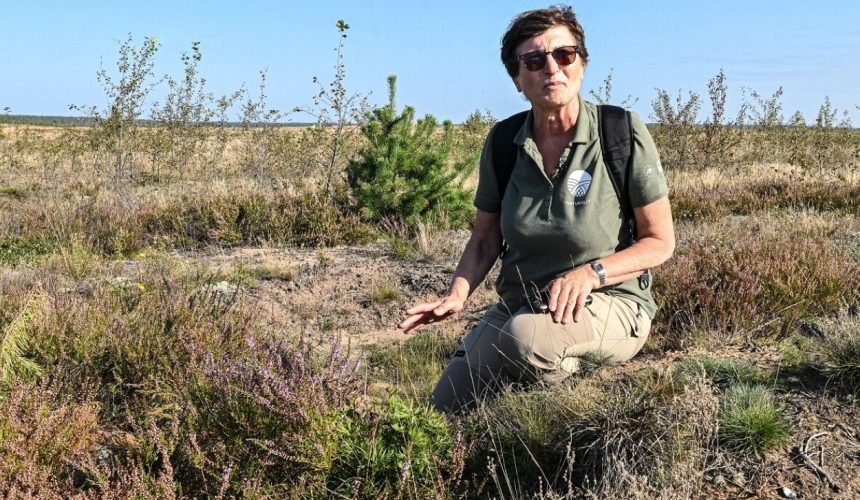 5 mitai apie poligonus: ką sako gamtos mokslas